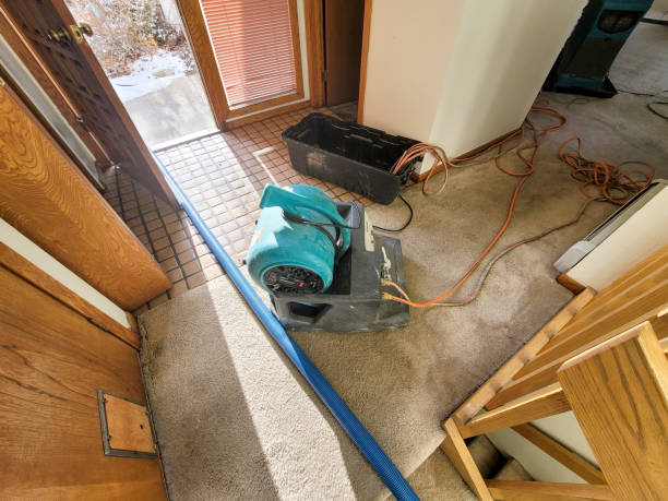 Best Commercial water damage restoration  in Angleton, TX