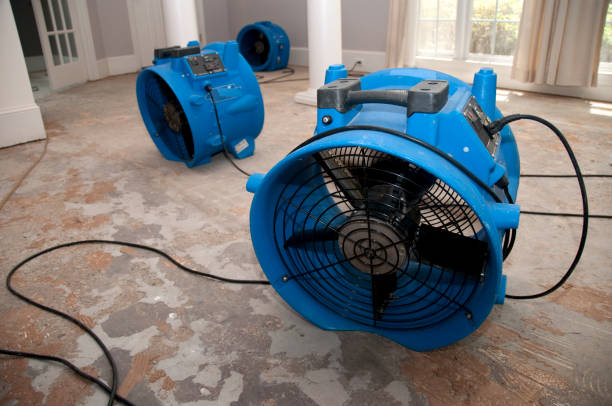 Best Professional water damage repair  in Angleton, TX