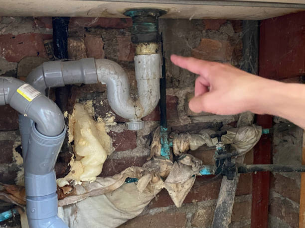 Best Basement water damage restoration  in Angleton, TX