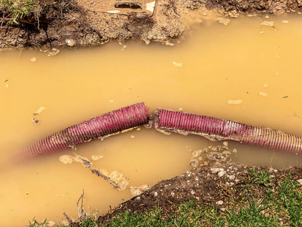  Angleton, TX Water damage restoration Pros