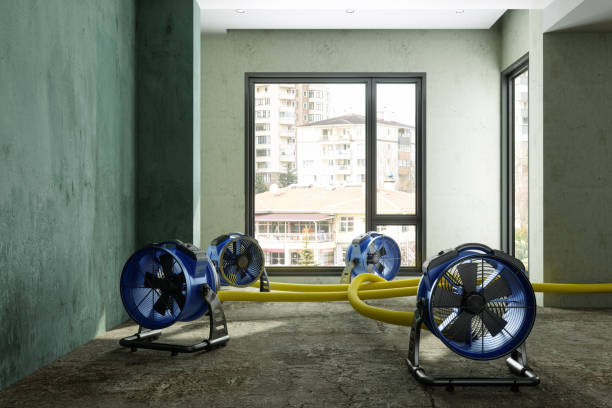 Best Fire Damage Restoration  in Angleton, TX